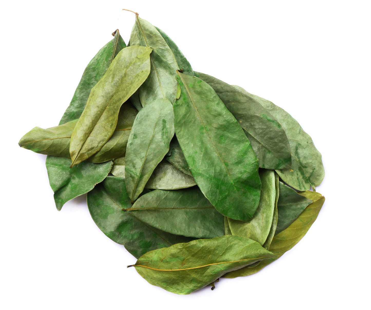 Soursop Tea Leaves - St Lucian