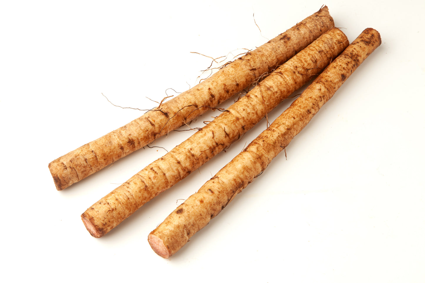 Organic Burdock Root (Bulk)