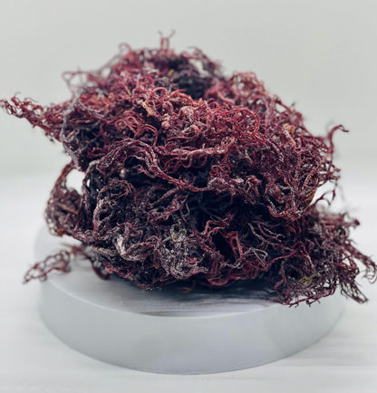 Raw Premium Purple - St Lucian Sea Moss