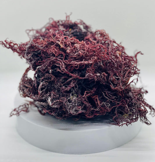 Raw Premium Purple - St Lucian Sea Moss