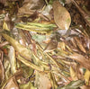 Soursop Leaves - Tea