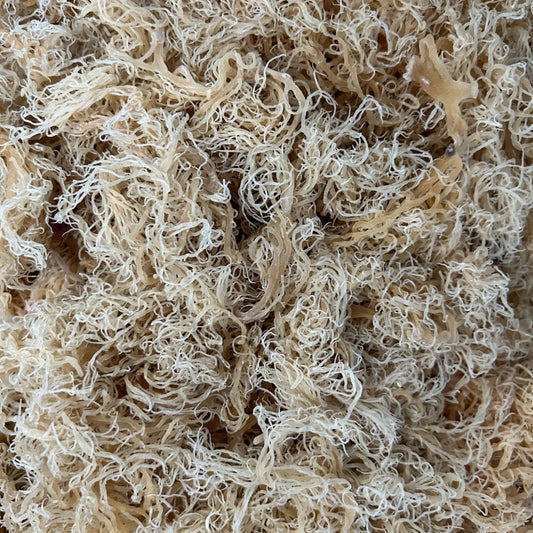 Raw Premium Golden - St Lucian Sea Moss (Bulk)